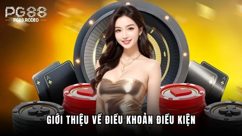 Ý nghĩa của các quy định trong điều khoản và điều kiện pg88